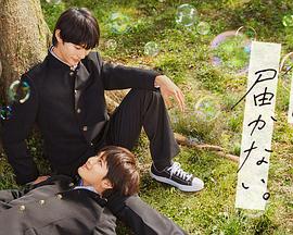 商务行业网站seo优化咨询